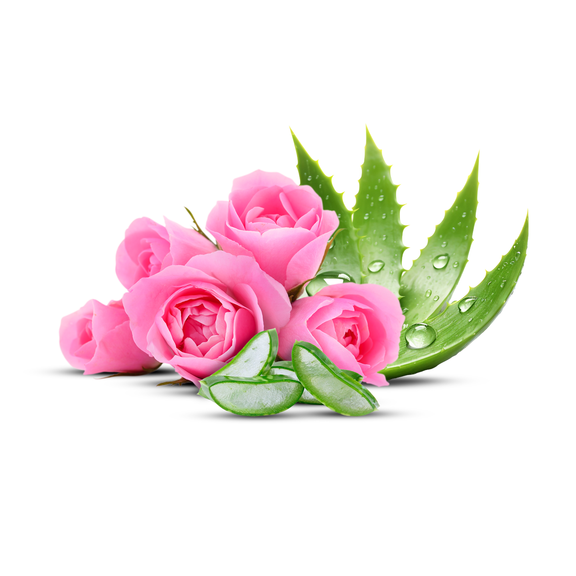 Pannir Rose Gesichtsspray: Sofortige Feuchtigkeit und Strahlkraft