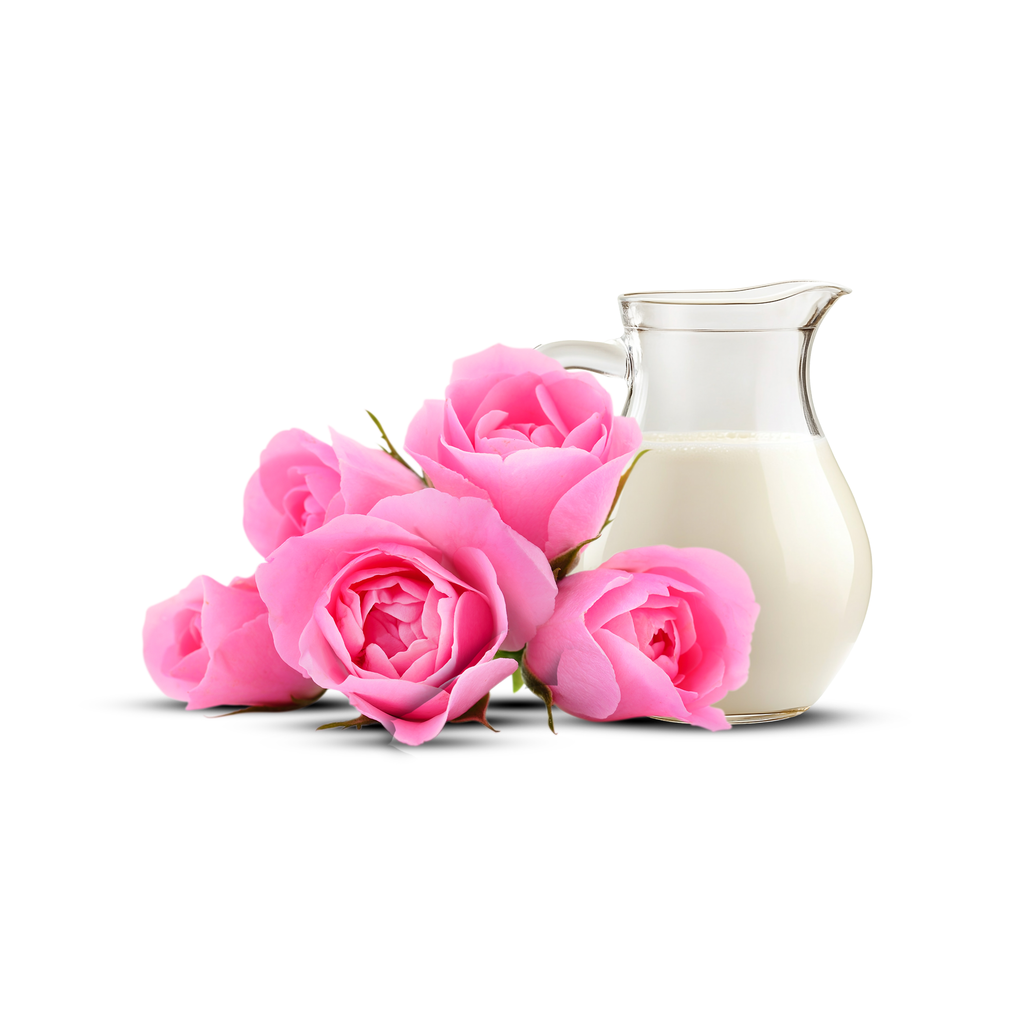 Pannir Rose Gel-Creme: Feuchtigkeit und Strahlkraft in einer leichten Formel