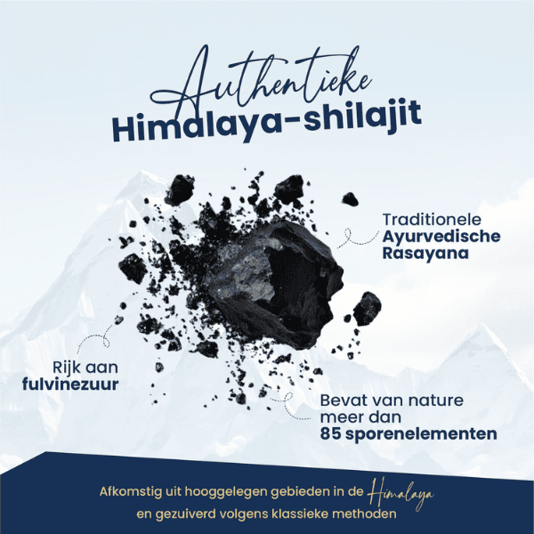 Shilajit Resin | Ayurvedic Rejuvenation & Stamina Support | Vanan Herbal 