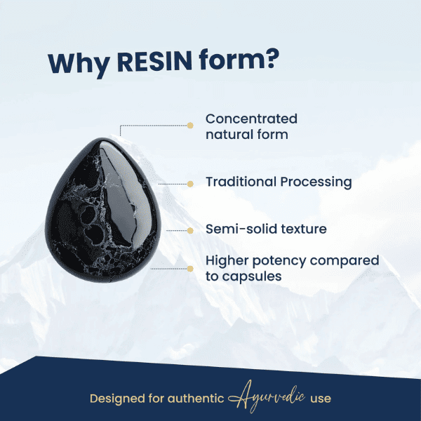 Shilajit Resin | Ayurvedic Rejuvenation & Stamina Support | Vanan Herbal 