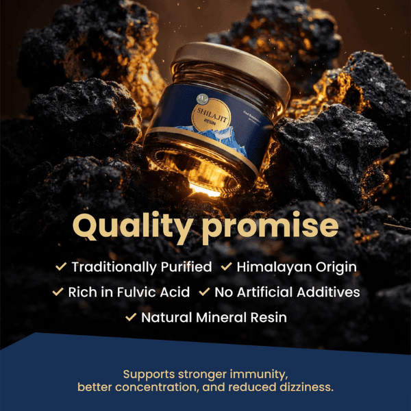 Shilajit Resin | Ayurvedic Rejuvenation & Stamina Support | Vanan Herbal 