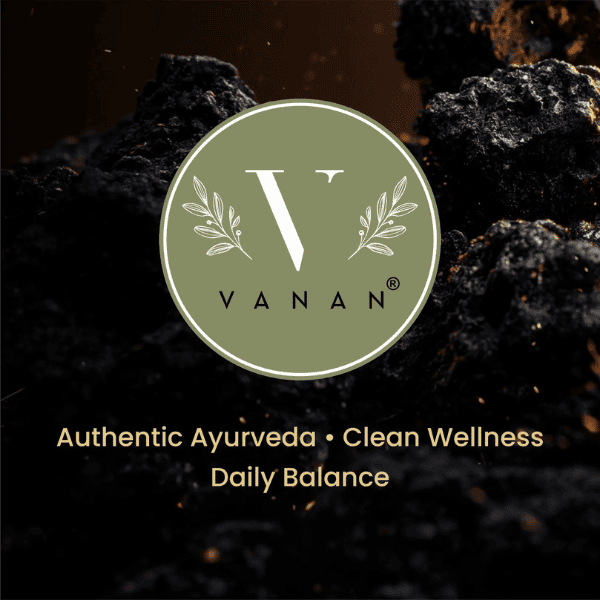 Shilajit Resin | Ayurvedic Rejuvenation & Stamina Support | Vanan Herbal 