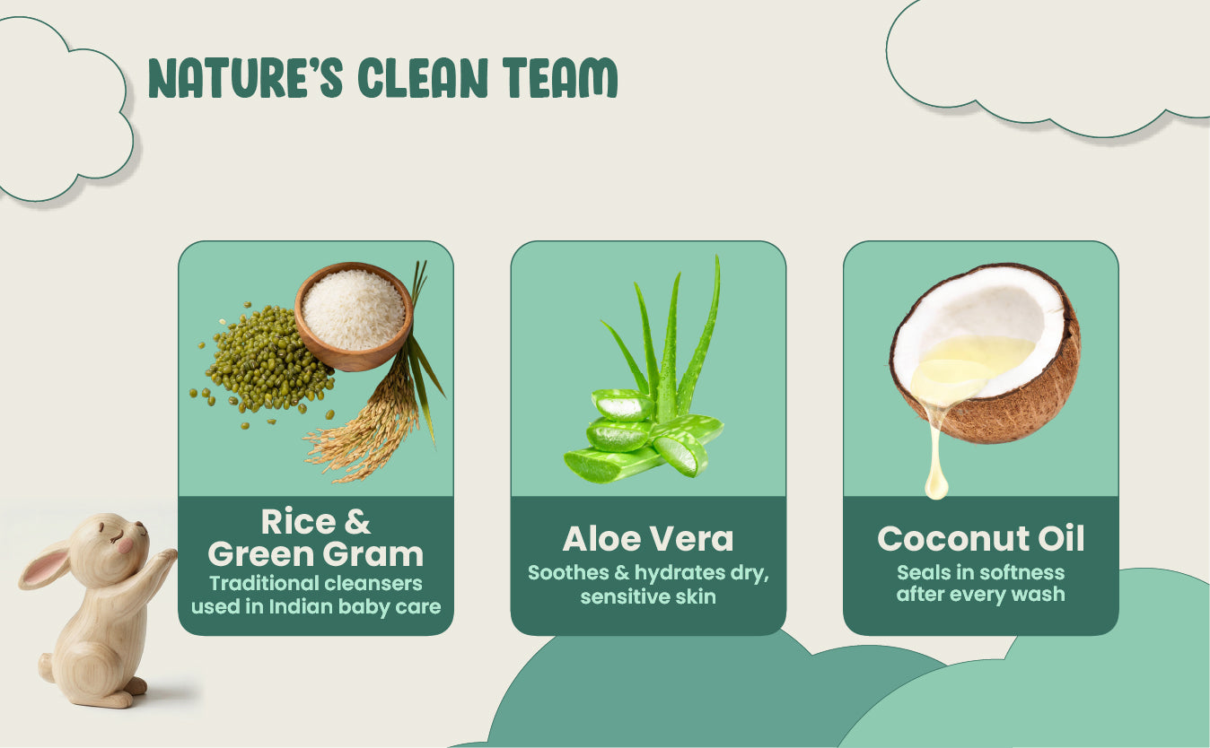 Three product cards featuring rice and green gram, aloe vera, and coconut oil with corresponding benefits on a light green background.