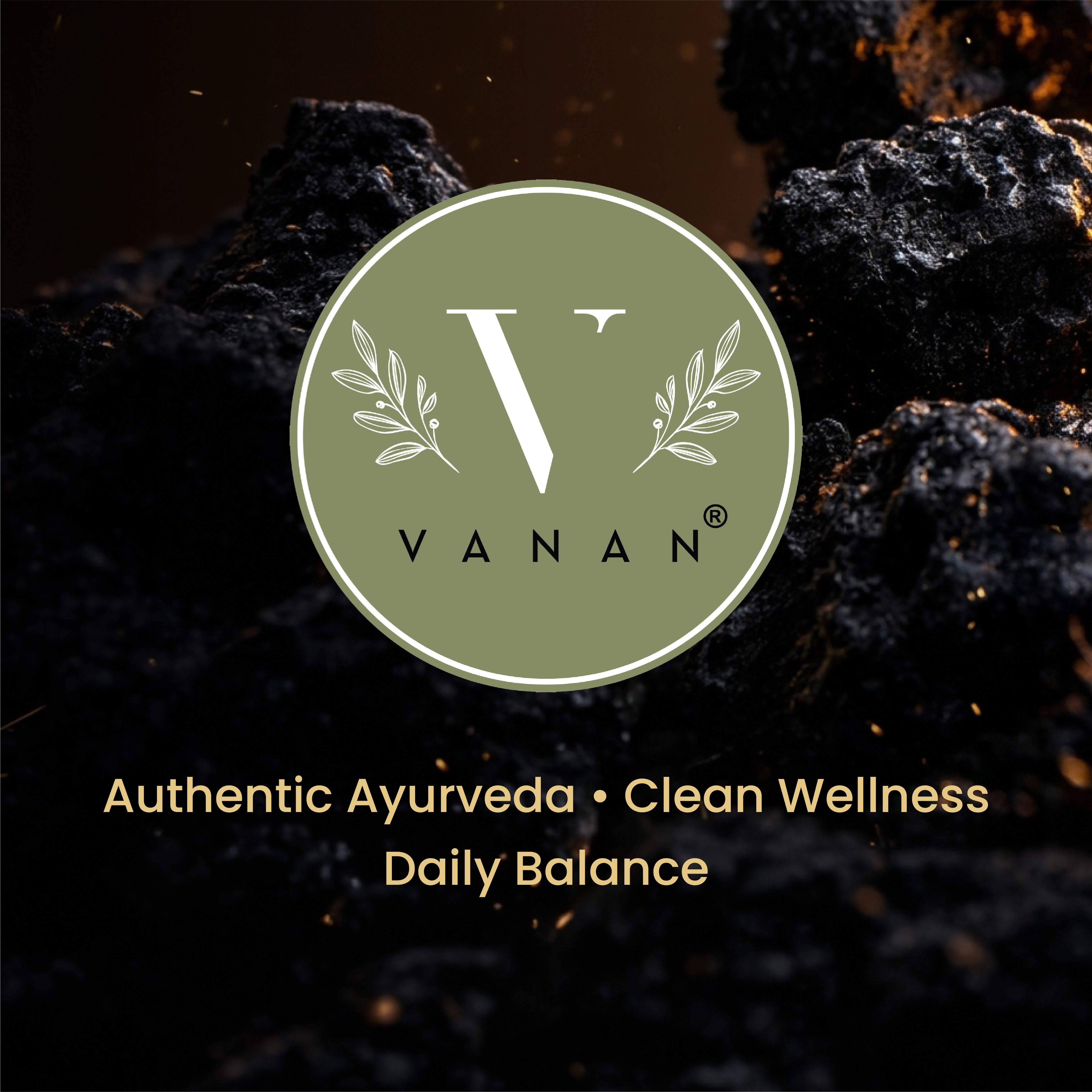 Shilajit Resin | Ayurvedic Rejuvenation & Stamina Support | Vanan Herbal 