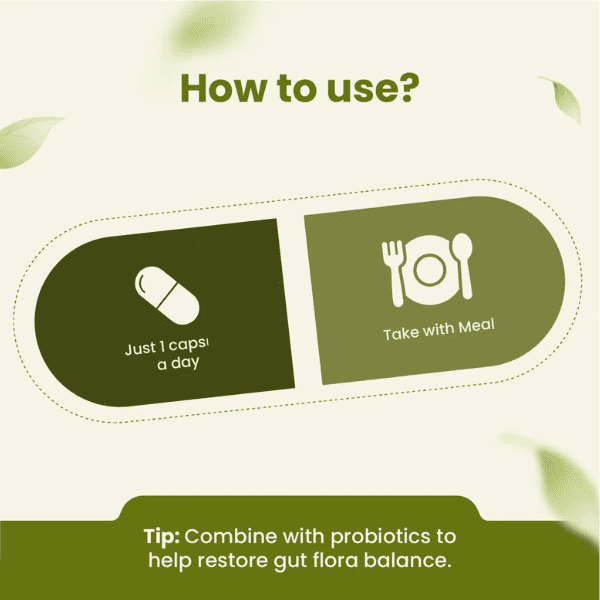Vidanga Capsules | Digestive Support & Natural Detox | 60 Capsules | Vanan Herbal 
