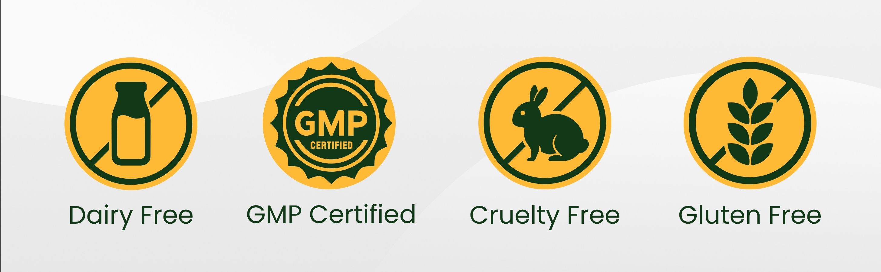 Set of certification icons for Dairy Free, GMP Certified, Cruelty Free, and Gluten Free on a white background.