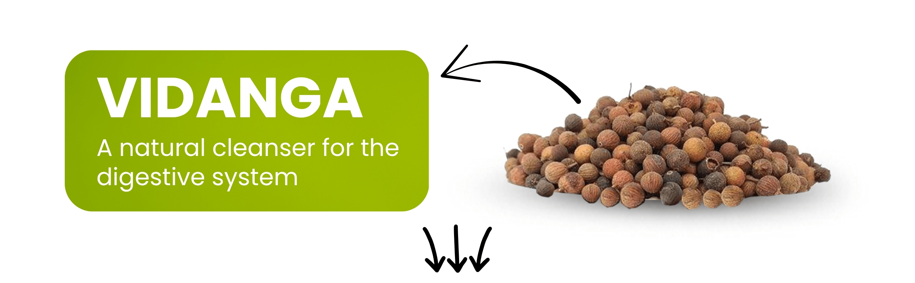 Vidanga Ayurvedic products with text on a white background