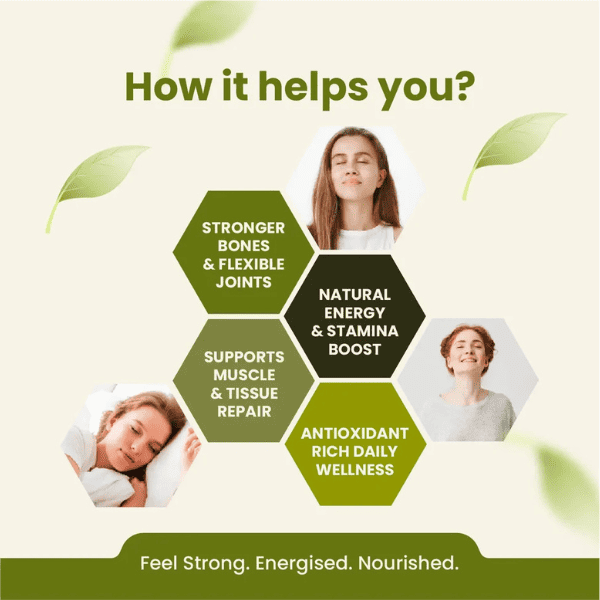 Moringa Capsules | Superfood Nutrition & Energy Support | 60 Capsules | Vanan Herbal 