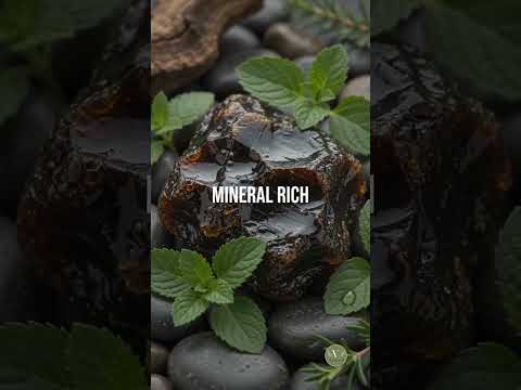 Shilajit Resin | Ayurvedic Rejuvenation & Stamina Support | Vanan Herbal