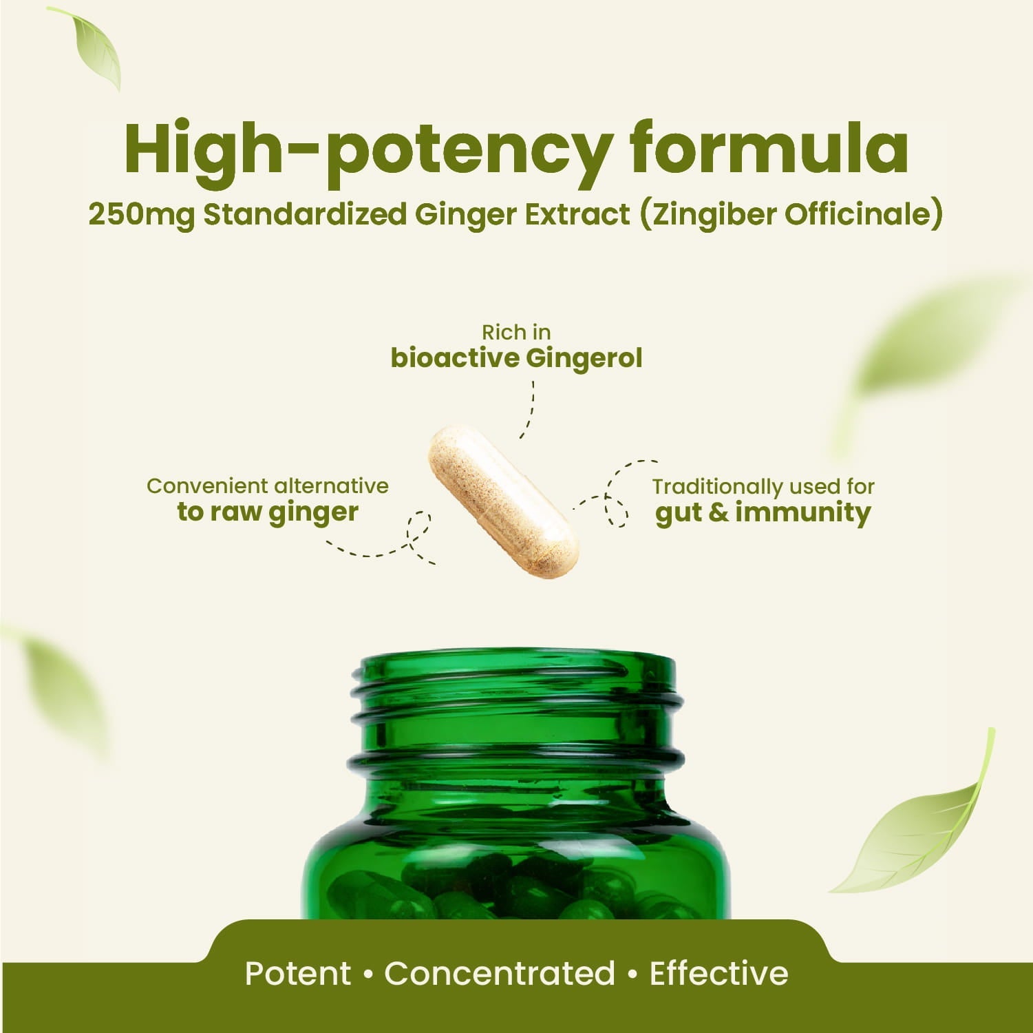 Ginger Capsules | Digestive Health & Anti-Inflammatory Support | 60 Capsules | Vanan Herbal 