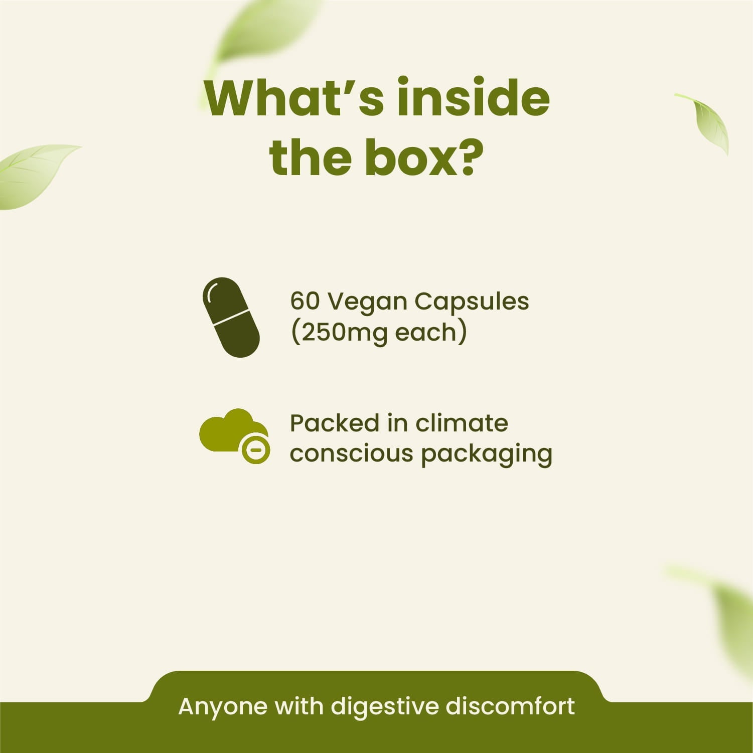 Ginger Capsules | Digestive Health & Anti-Inflammatory Support | 60 Capsules | Vanan Herbal 