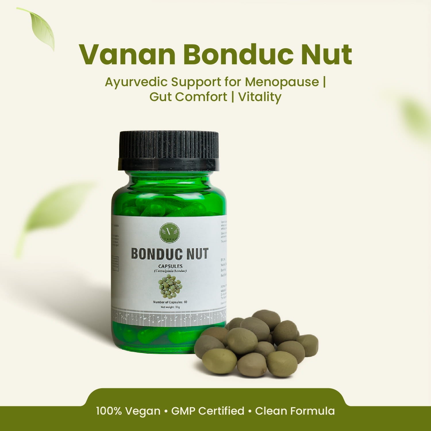 Bonduc Nut Capsules | Metabolism & Immune Health Support | 60 Capsules| Vanan Herbal 
