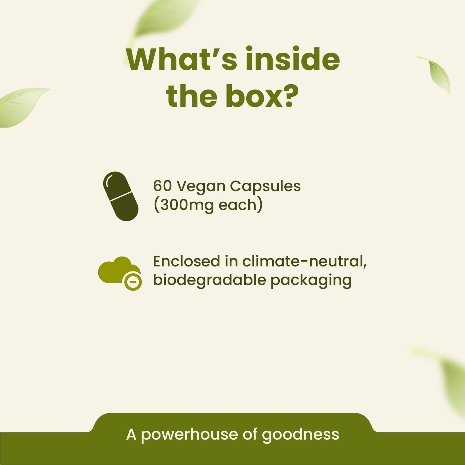 Bonduc Nut Capsules | Metabolism & Immune Health Support | 60 Capsules| Vanan Herbal 